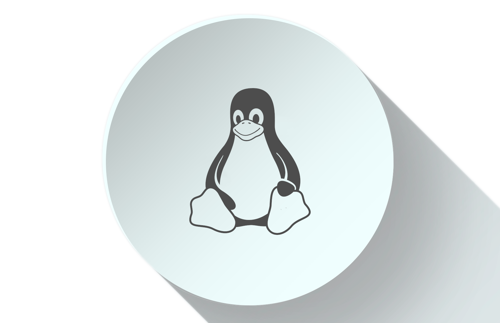 Open source consulting zaks web